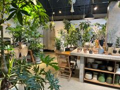 -自由生长植物工作室(深港花卉中心店)
