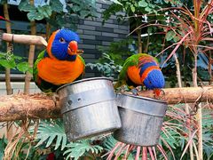 -南宫五洲植物乐园