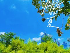 -郑东新区湿地公园