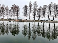 -东湖生态旅游风景区