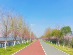 -艾溪湖湿地公园