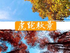 -杭州西湖风景名胜区-满觉陇四眼井