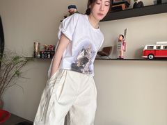 -岭南站NOVA