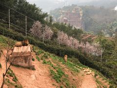 -乐和乐都主题乐园
