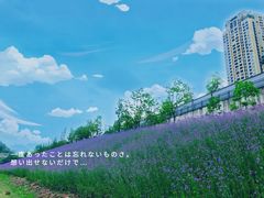 -石井坡(地铁站)