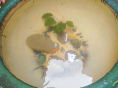 -荔湾博物馆