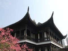 -红梅公园