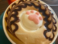 -名猫咖啡馆·撸猫·拼豆