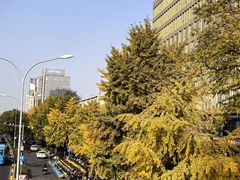 -北京大学口腔医院(魏公村总院)