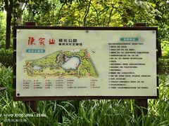 -陈家山荷花公园