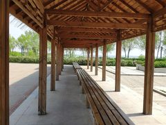 -呼兰河口湿地公园