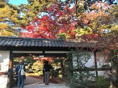 -京都御所