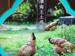 -刀板香·安徽菜(国购IFC店)