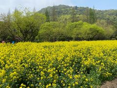 -八卦田遗址公园