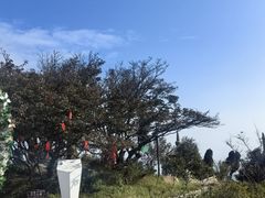 -长沙黑麋峰国家森林公园