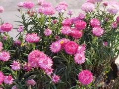 -上海交通大学(闵行校区)