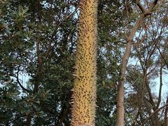 -风云岭森林公园