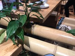 -椰夫人·养生椰子鸡(金沙洲永旺店)