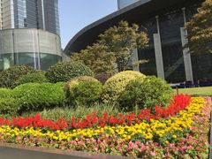 -花园5號餐厅