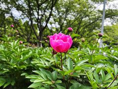-白塘生态植物园