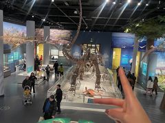 -国家自然博物馆