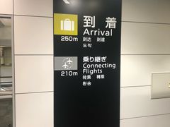 -中部国际机场
