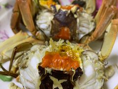 -黄记大闸蟹专卖店·活蟹·醉蟹