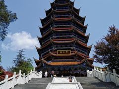 -铁山坪森林公园