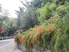 -广州市白云山风景名胜区