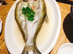 清蒸白水鱼-新梅华(太仓万达店)