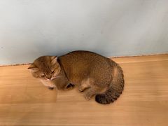 -天河领展广场