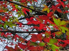 -长春市南湖公园