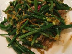 蒜泥小黄瓜苗-和记小菜(东方店)
