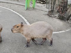 -成都欢乐谷