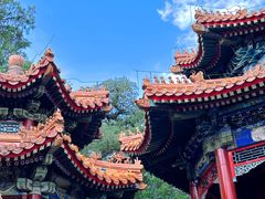 -颐和园