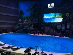 -喷泉广场餐厅·宵夜·海鲜烧烤大排档(长隆企鹅酒店)