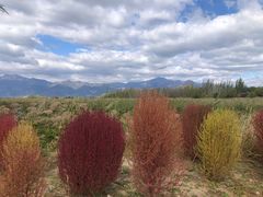 -野鸭湖国家湿地公园