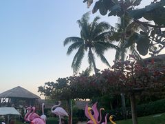 -三亚亚龙湾天域度假酒店