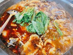 -都江堰石锅鱼