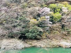 -岚山嵯峨野观光小火车