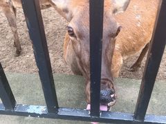 -石家庄市动物园