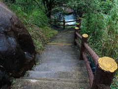 -广州白江湖森林公园