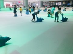 -TheRink大零溜冰场(IFS国金中心店)