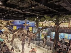 -国家自然博物馆