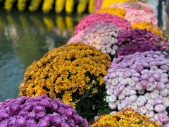 -杭州植物园
