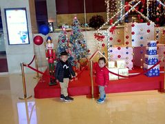 -苏州金鸡湖大酒店