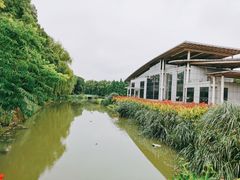 -昆山城市生态森林公园