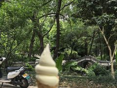 -东明山森林公园