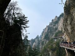 -老君山风景名胜区