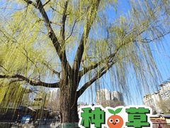 -皇家御河游(紫御湾码头)